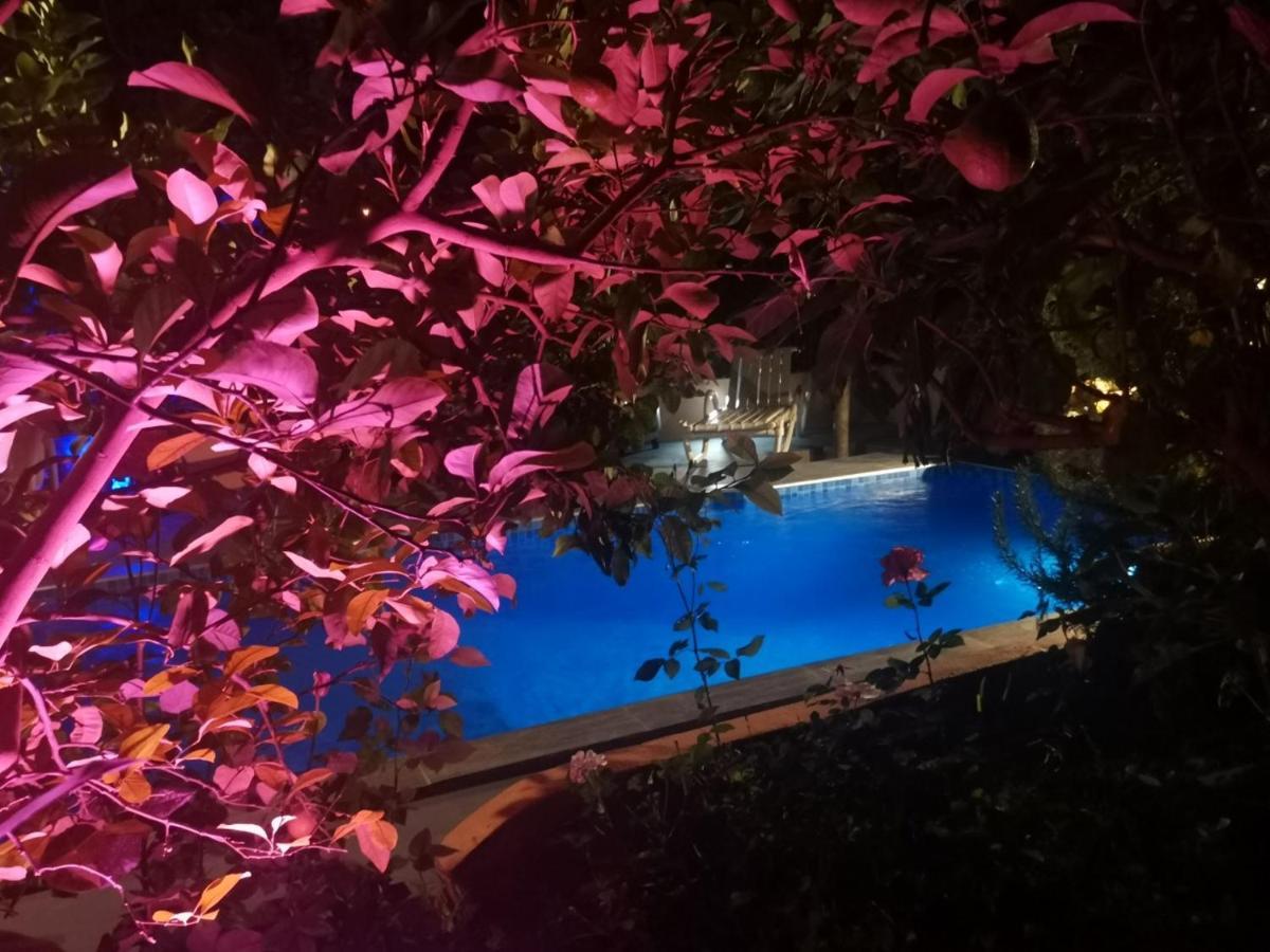 Riad Avec Terrasse Privee Et Piscine Partagee A 300M Fes Luaran gambar